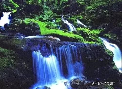 神十一几点开始返回